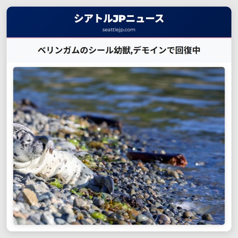 ベリンガムのシール幼獣デモインで回復中
