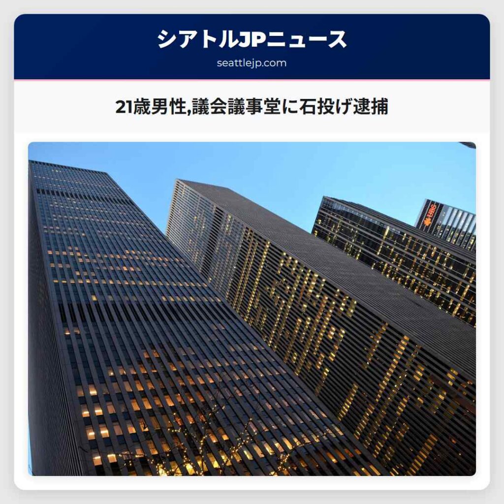 21歳男性,議会議事堂に石投げ逮捕
