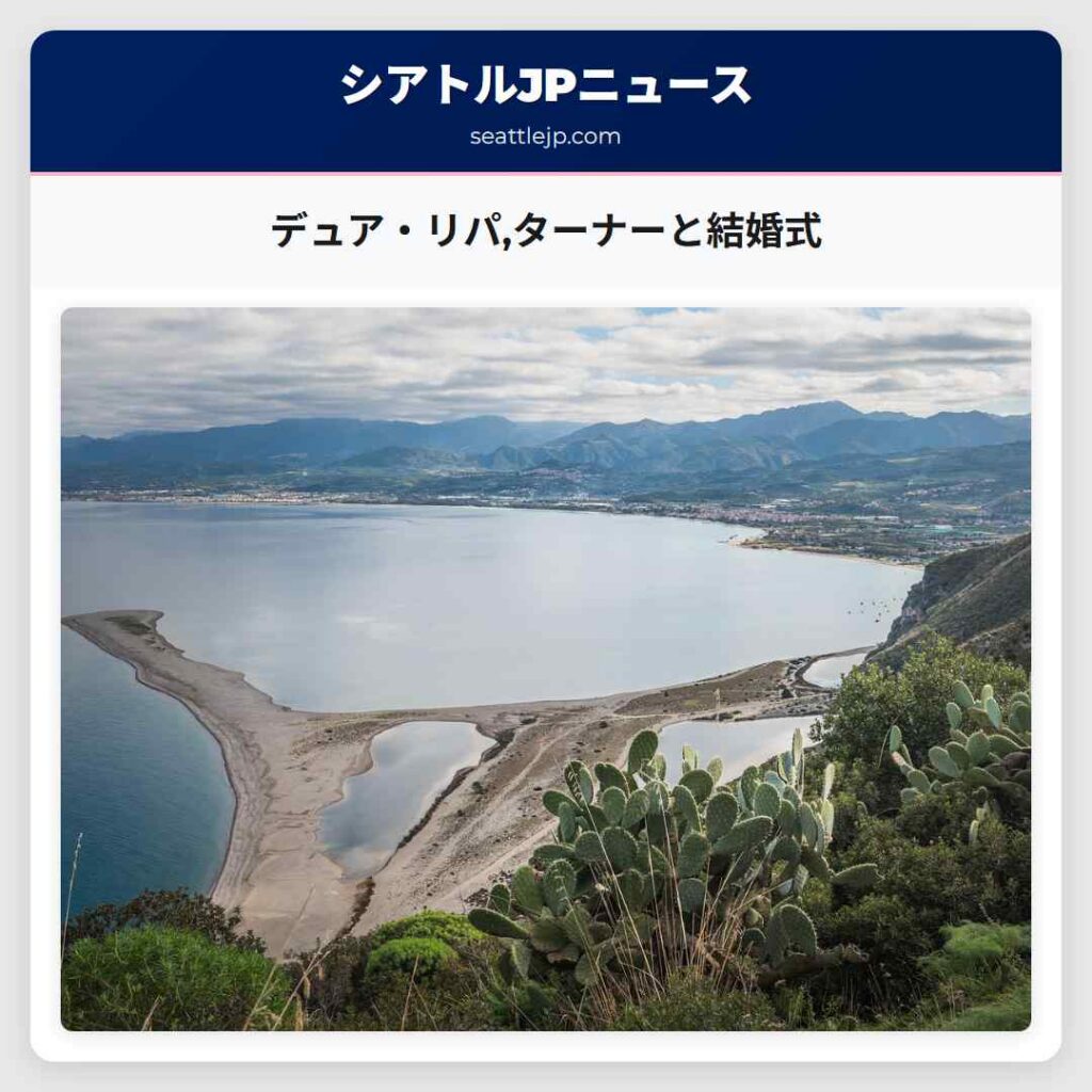 デュア・リパ,ターナーと結婚式