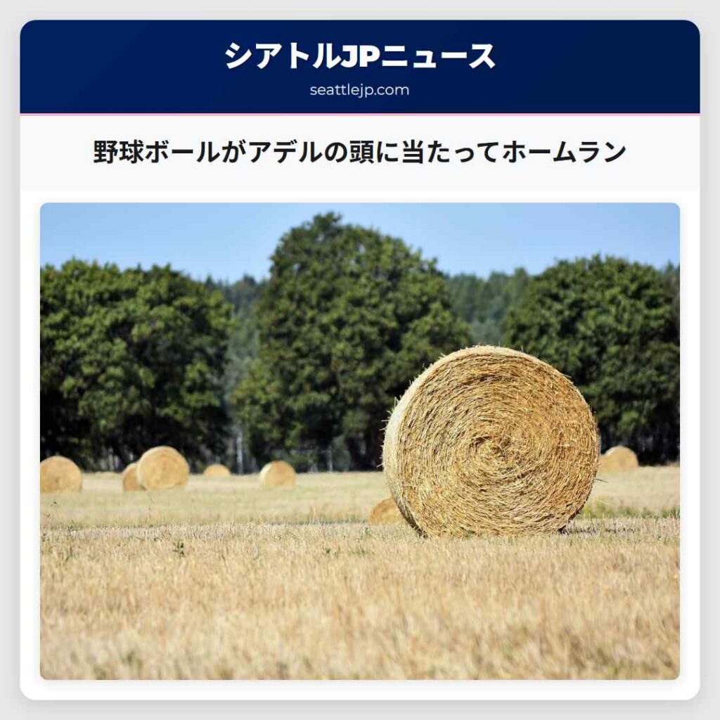 野球ボールがアデルの頭に当たってホームラン