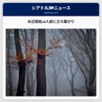 水辺救助4人岩に立ち塞がり