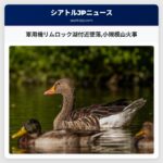 軍用機リムロック湖付近墜落小規模山火事