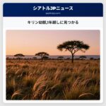 キリン幼獣1年越しに見つかる