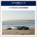 クジラ死亡続々2026年記録更新