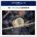米国・イランホルムズ海峡開通合意