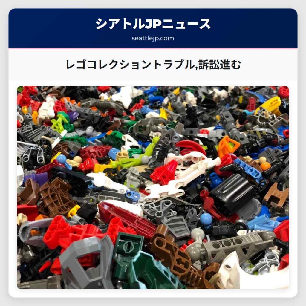 レゴコレクショントラブル,訴訟進む