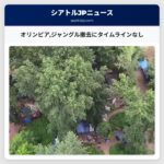 オリンピアジャングル撤去にタイムラインなし