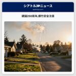 建国250周年爆竹安全注意
