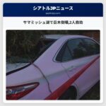 サマミッシュ湖で巨木倒壊2人救助