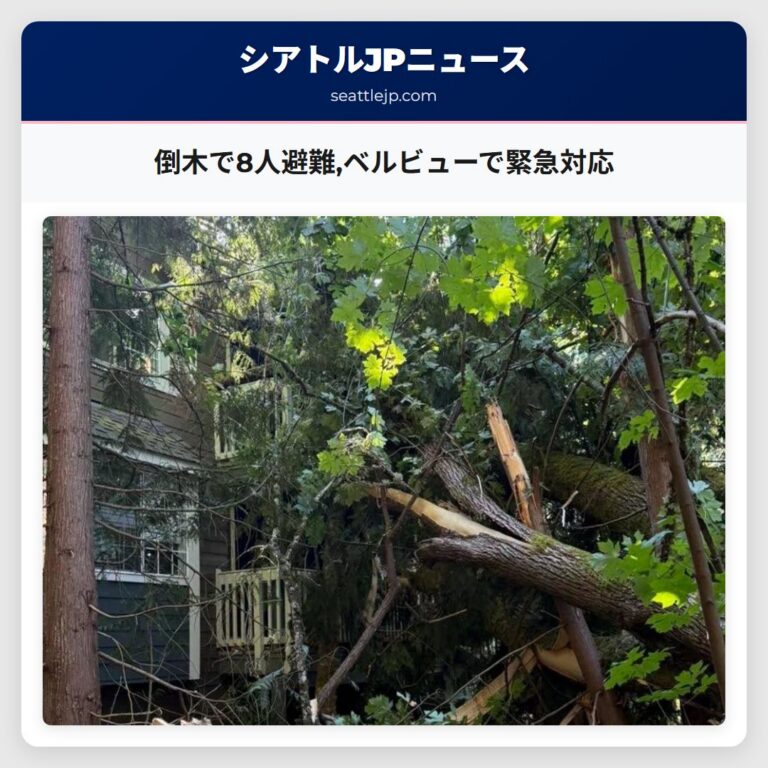 倒木で8人避難ベルビューで緊急対応