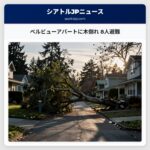 ベルビューアパートに木倒れ 8人避難