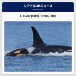 L Podに新幼体「L130」確認