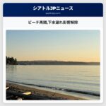 ビーチ再開下水漏れ影響解除