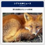 寄生虫感染犬と人への脅威