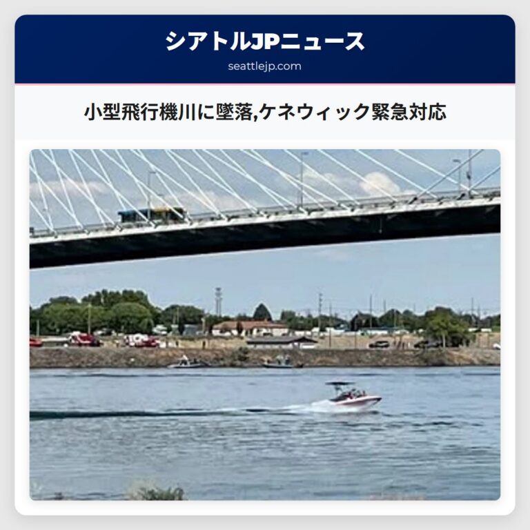 小型飛行機川に墜落ケネウィック緊急対応