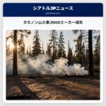 タカノン山火事9500エーカー焼失