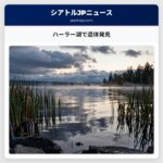 ハーラー湖で遺体発見