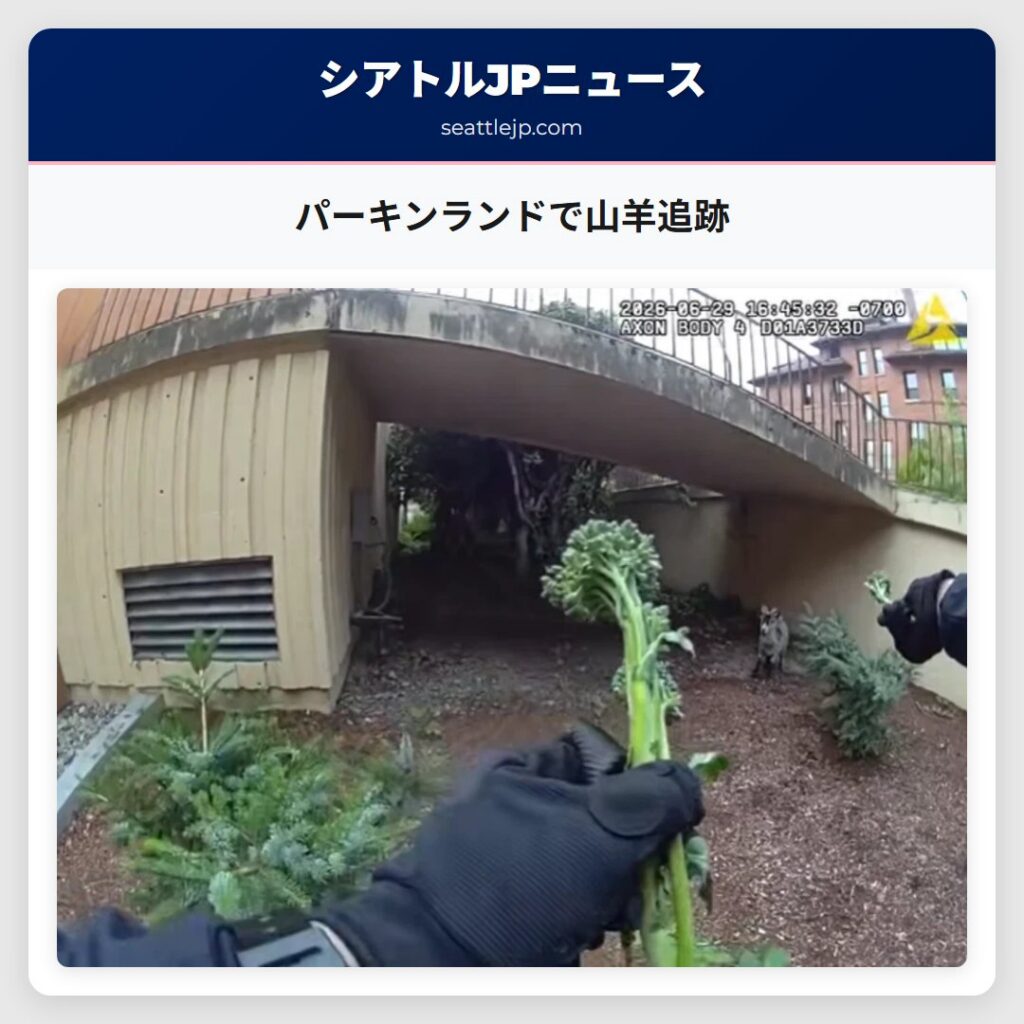 パーキンランドで山羊追跡