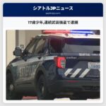 17歳少年連続武装強盗で逮捕
