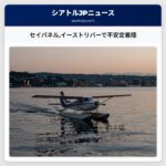 セイパネルイーストリバーで不安定着陸