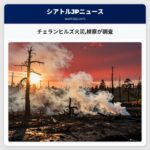 チェランヒルズ火災検察が調査