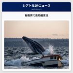鯨衝突で救助艇沈没