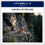 20歳犬崖から落下家族と再会