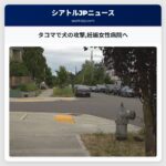 タコマで犬の攻撃妊娠女性病院へ
