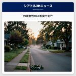 19歳女性DUI衝突で死亡