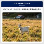 パシフィック・ルイジアナ大周辺羊と警察の足し合い