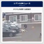 タコマ犬攻撃で出産強行