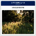 4月5日夏が復活予報